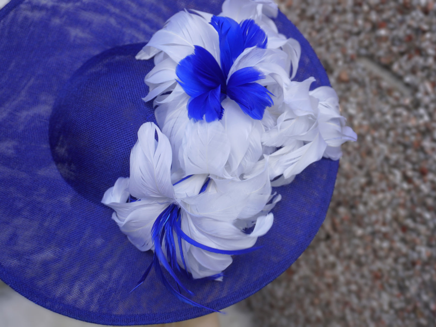 Royal Blue Hatinator