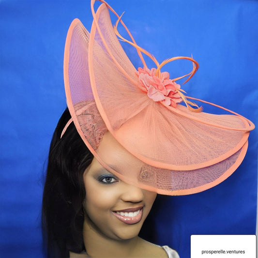 Wide Brim Hat- Wedding Hat -Fashions on the field- Mother of the Bride hat- Custom Hat- Multi colour